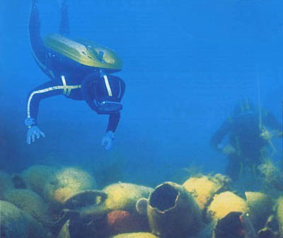 Diver w Earns