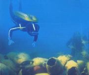 Diver w Earns