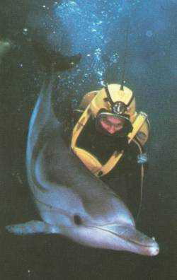 Cousteau Dolphin