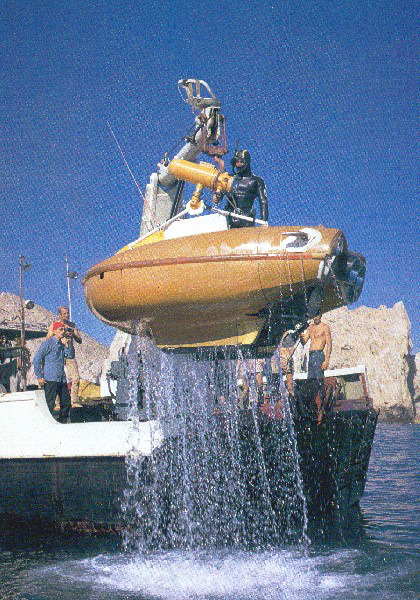 Sea Flea Crane sm