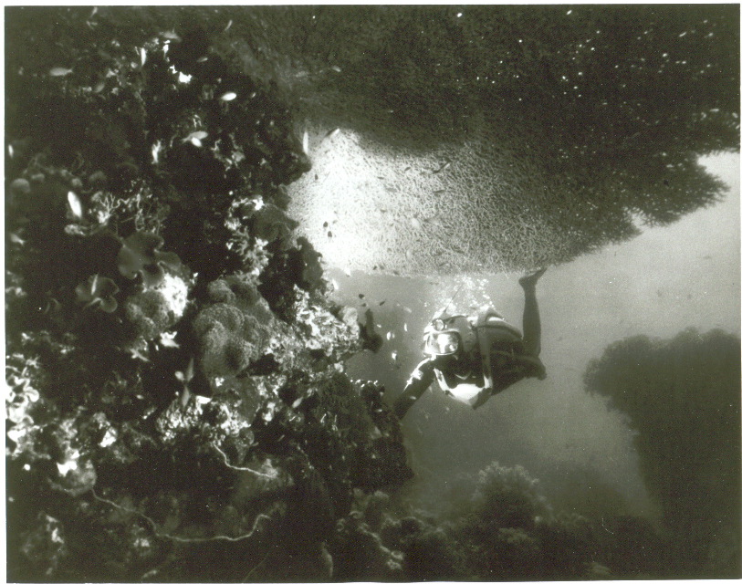 SCAN0007