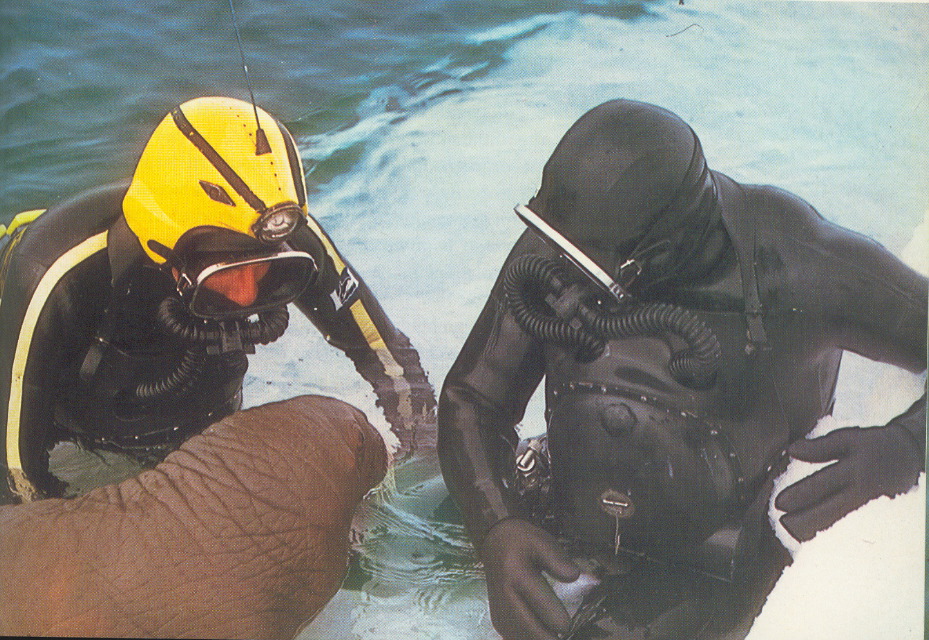 Rebreathers