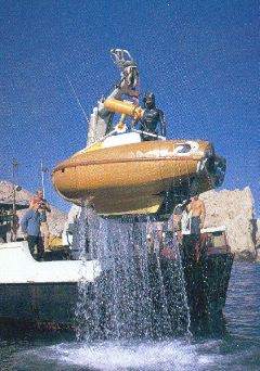 Sea Flea Crane sm