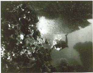 SCAN0007