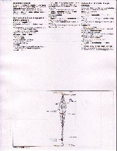 Scan10015