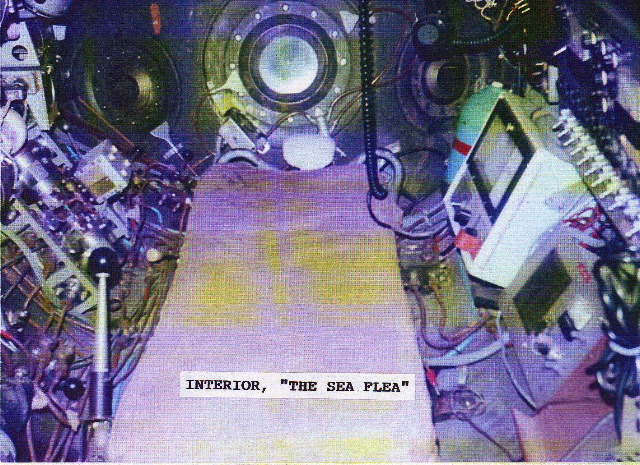 Sea Flea Interior