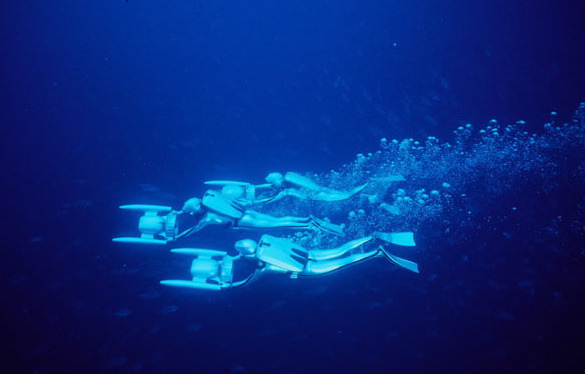 zoom_divers