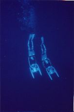 Scan10013