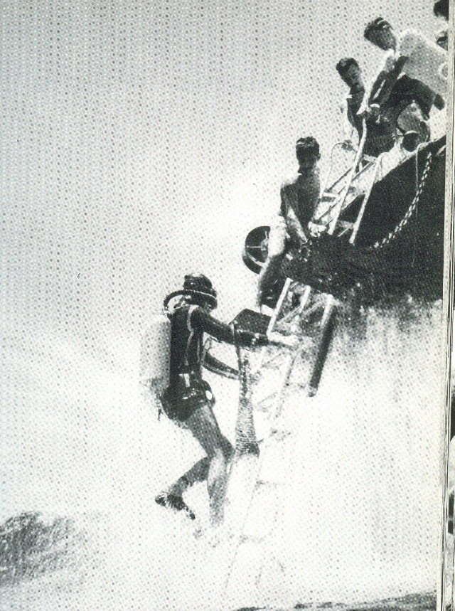French Triple ladder