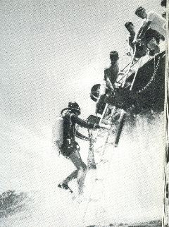 French Triple ladder